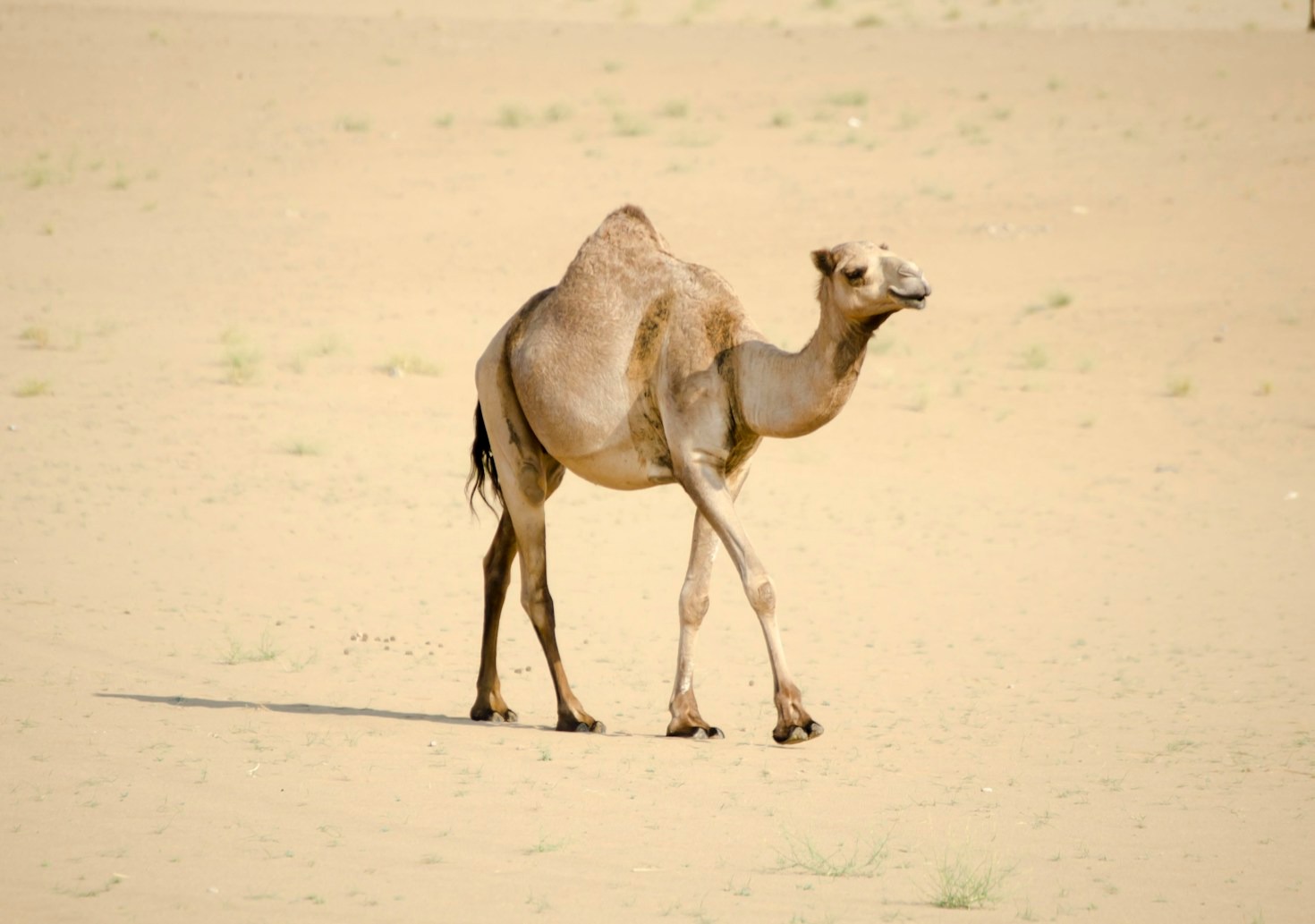 featured-image-2