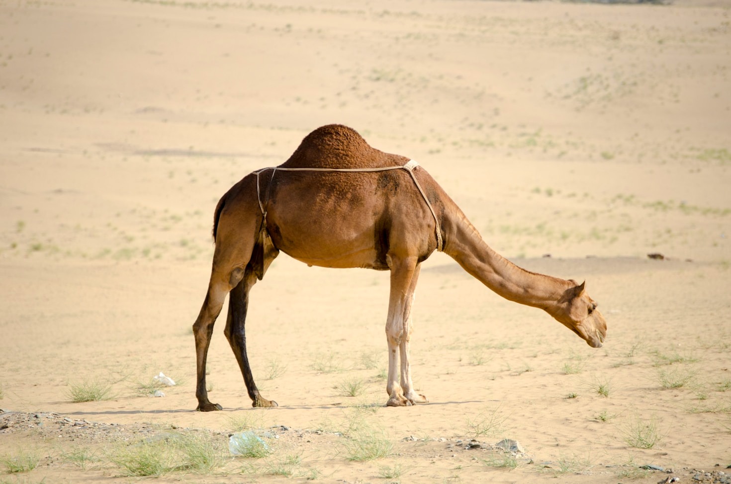featured-image-7